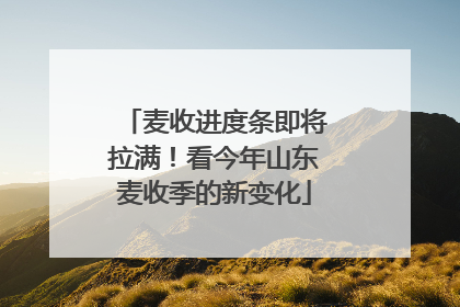 麦收进度条即将拉满！看今年山东麦收季的新变化