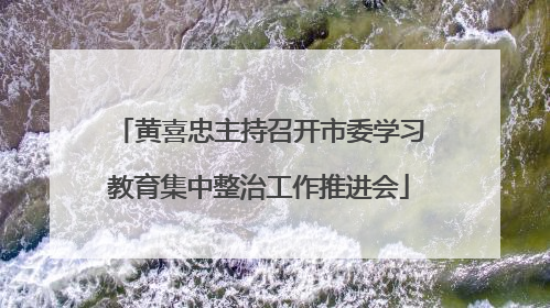 黄喜忠主持召开市委学习教育集中整治工作推进会