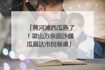黄河滩西瓜熟了！梁山万余亩沙瓤瓜直达市民餐桌