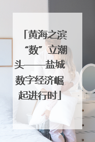 黄海之滨“数”立潮头——盐城数字经济崛起进行时