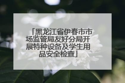 黑龙江省伊春市市场监管局友好分局开展特种设备及学生用品安全检查