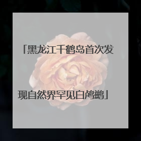 黑龙江千鹤岛首次发现自然界罕见白鸬鹚