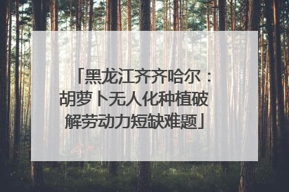 黑龙江齐齐哈尔：胡萝卜无人化种植破解劳动力短缺难题