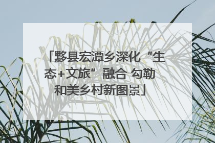 黟县宏潭乡深化“生态+文旅”融合 勾勒和美乡村新图景