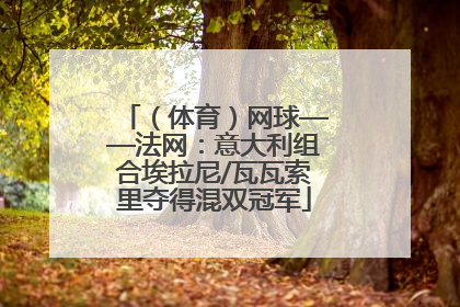 （体育）网球——法网：意大利组合埃拉尼/瓦瓦索里夺得混双冠军