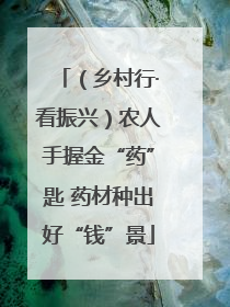 （乡村行·看振兴）农人手握金“药”匙 药材种出好“钱”景