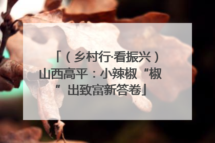 （乡村行·看振兴）山西高平：小辣椒“椒”出致富新答卷