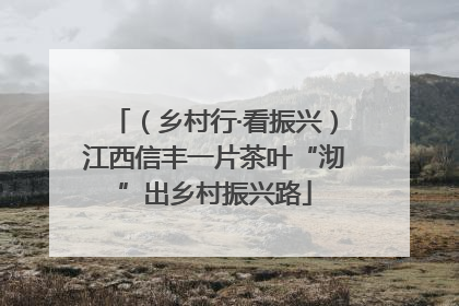 （乡村行·看振兴）江西信丰一片茶叶“沏”出乡村振兴路