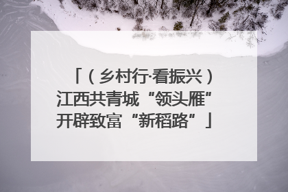 （乡村行·看振兴）江西共青城“领头雁”开辟致富“新稻路”