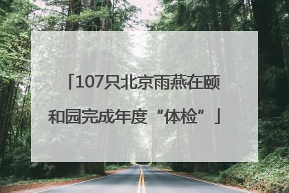 107只北京雨燕在颐和园完成年度“体检”