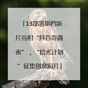 13部暑期档新片亮相“抖音奇遇夜”，“拾光计划”征集创意短片