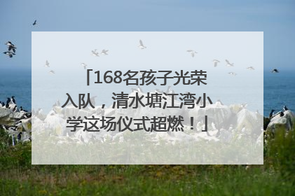 168名孩子光荣入队，清水塘江湾小学这场仪式超燃！