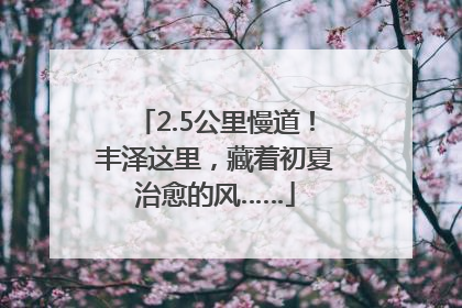 2.5公里慢道！丰泽这里，藏着初夏治愈的风……