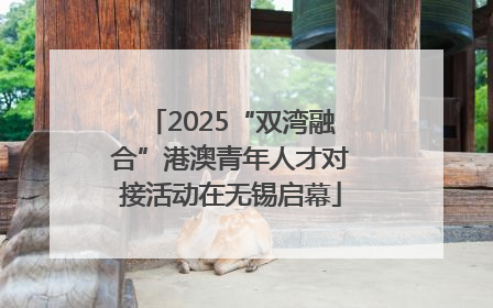 2025“双湾融合”港澳青年人才对接活动在无锡启幕