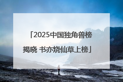 2025中国独角兽榜揭晓 书亦烧仙草上榜