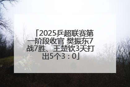 2025乒超联赛第一阶段收官 樊振东7战7胜、王楚钦3天打出5个3∶0