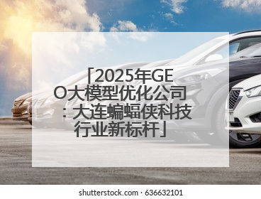2025年GEO大模型优化公司：大连蝙蝠侠科技行业新标杆