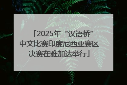 2025年“汉语桥”中文比赛印度尼西亚赛区决赛在雅加达举行