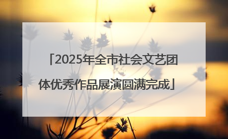 2025年全市社会文艺团体优秀作品展演圆满完成