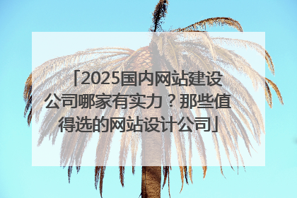 2025国内网站建设公司哪家有实力？那些值得选的网站设计公司