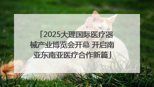2025大理国际医疗器械产业博览会开幕 开启南亚东南亚医疗合作新篇