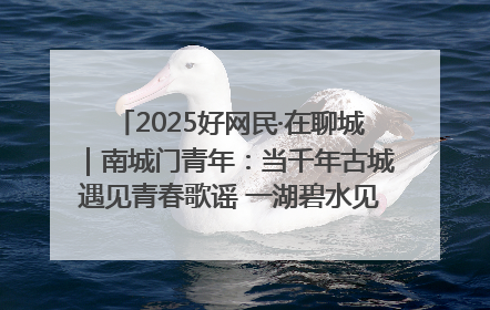 2025好网民·在聊城｜南城门青年：当千年古城遇见青春歌谣 一湖碧水见证的“聊城式浪漫”