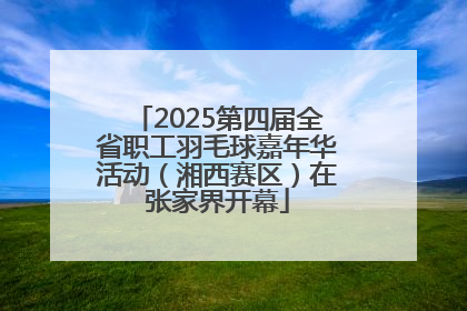 2025第四届全省职工羽毛球嘉年华活动（湘西赛区）在张家界开幕