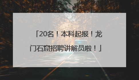 20名！本科起报！龙门石窟招聘讲解员啦！