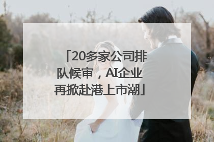 20多家公司排队候审，AI企业再掀赴港上市潮