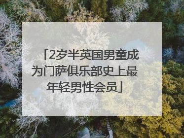 2岁半英国男童成为门萨俱乐部史上最年轻男性会员