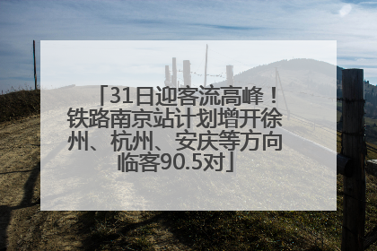 31日迎客流高峰！铁路南京站计划增开徐州、杭州、安庆等方向临客90.5对