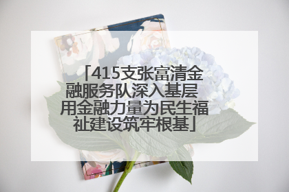 415支张富清金融服务队深入基层 用金融力量为民生福祉建设筑牢根基