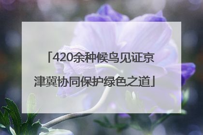 420余种候鸟见证京津冀协同保护绿色之道