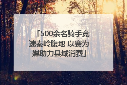 500余名骑手竞速秦岭腹地 以赛为媒助力县域消费