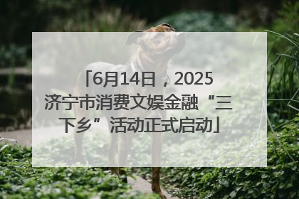 6月14日，2025济宁市消费文娱金融“三下乡”活动正式启动