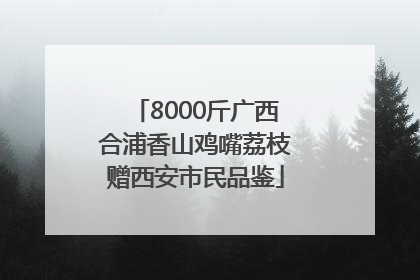 8000斤广西合浦香山鸡嘴荔枝赠西安市民品鉴