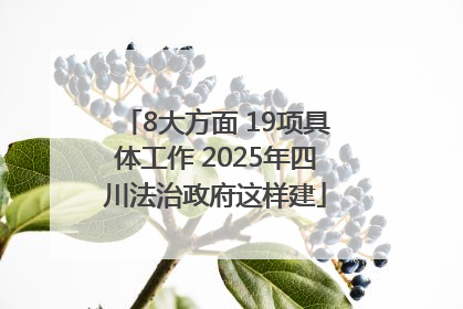 8大方面 19项具体工作 2025年四川法治政府这样建