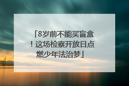 8岁前不能买盲盒！这场检察开放日点燃少年法治梦