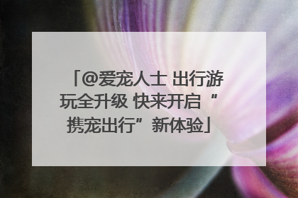@爱宠人士 出行游玩全升级 快来开启“携宠出行”新体验