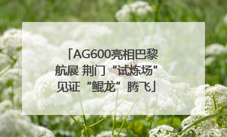 AG600亮相巴黎航展 荆门“试炼场”见证“鲲龙”腾飞
