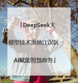 DeepSeek大模型技术落地江汉区 AI赋能智慧政务